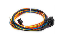 AccuAir Suspension e-Level Main Harness
