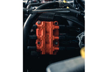 RIPP Superchargers Ignition Refresh Pack